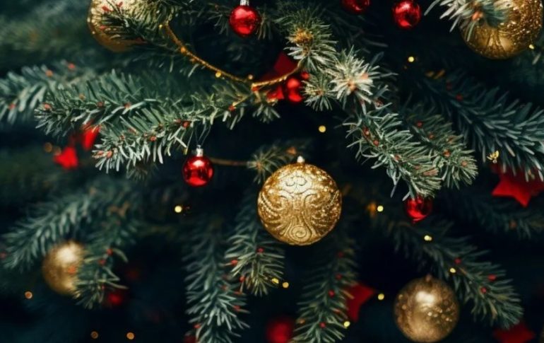 Елка новогодняя: как выбрать идеальное дерево для праздника