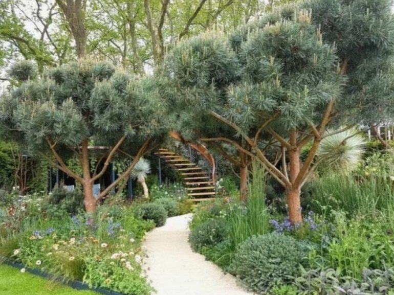 Теневой сад без хлопот: неприхотливые кустарники и деревья для северных участков